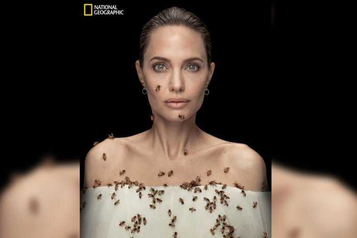 В честь Всемирного Дня пчел Анджелина Джоли в опасной фотосессии с 60 000 пчел